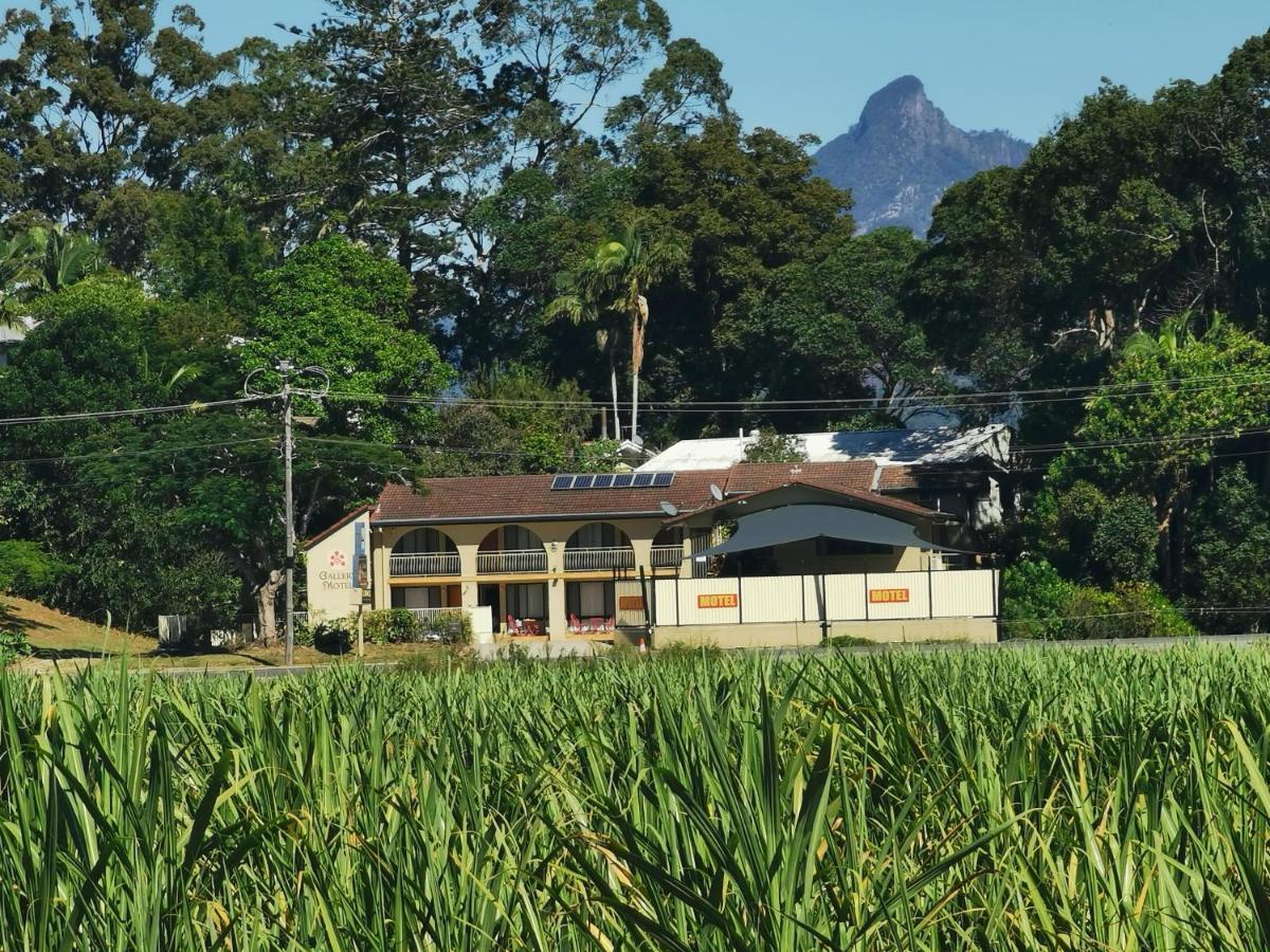 Gallery Motel Murwillumbah Exterior photo